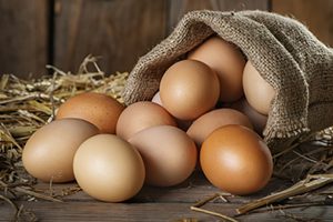alimentazione-4